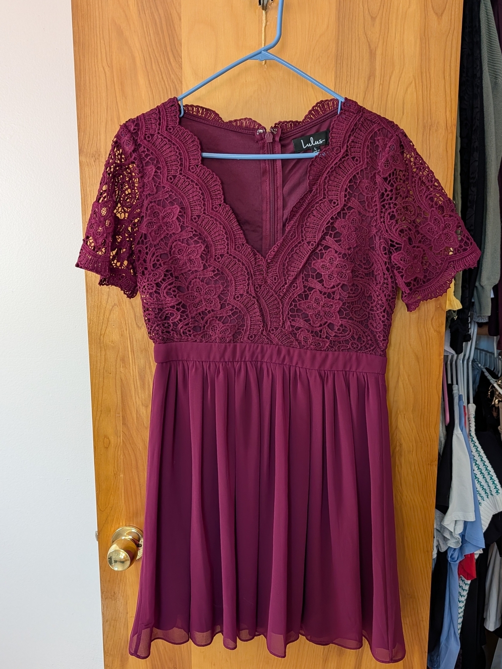 Lulu's Wine Lace & Chiffon V-Neck Short Dress